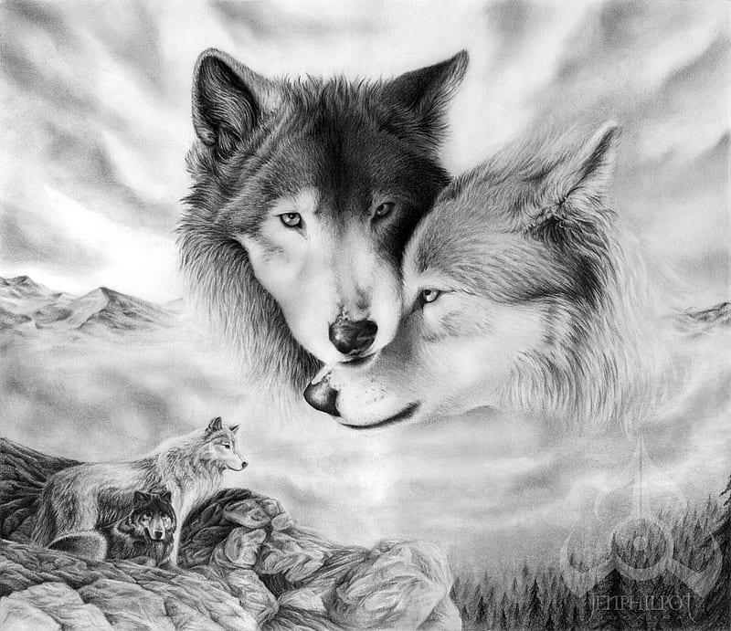 wolf mates, pretty, traditional, black, bonito, arts, cute, nice, cool, pencil, wolf, wolves, white, HD wallpaper