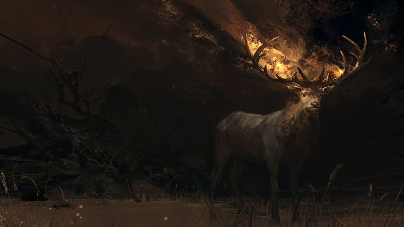 Deer, fire, art, fantasy, luminos, dark, su jian, horns, cerb, HD wallpaper