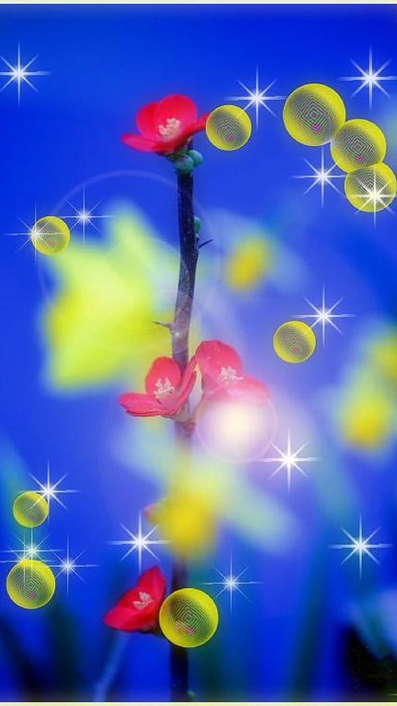 FLOWER with BUBBLEs, bubble, cross filter, flower, graph, season, star effect, HD phone wallpaper
