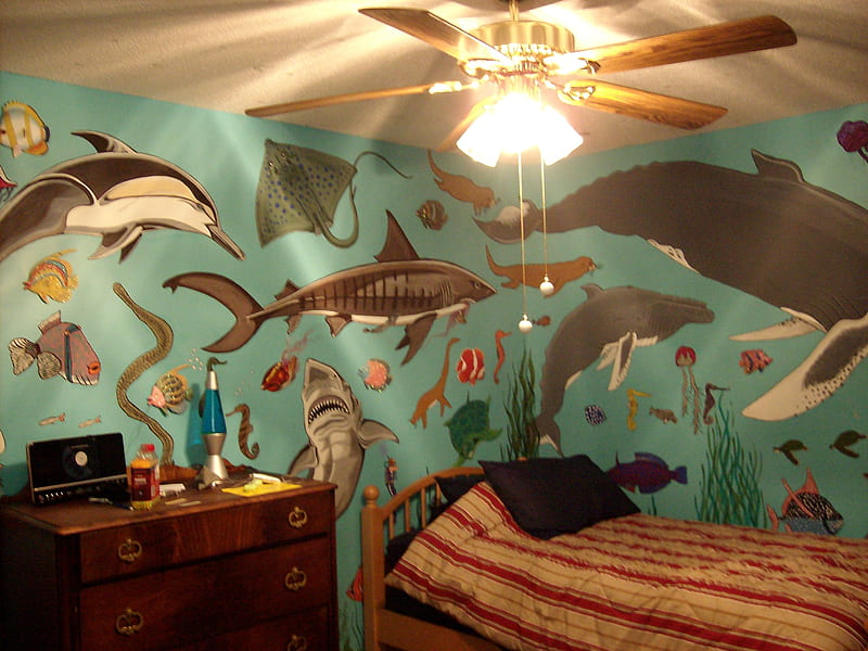 My son's bedroom! Painted by me and a friend!!, whales, fun, dolphins, fish, HD wallpaper