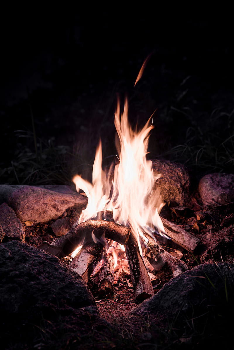 bonfire, fire, flame, burn, firewood, HD phone wallpaper