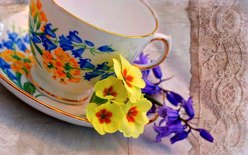 TEA CUP, saucer, flowers, yellow, cup, geranium, HD wallpaper