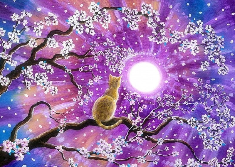 Tabby Cat in Cherry Blossoms, moons, draw and paint, love four seasons, spring, trees, cherry blossoms, paintings, flowers, branches, cats, animals, HD wallpaper