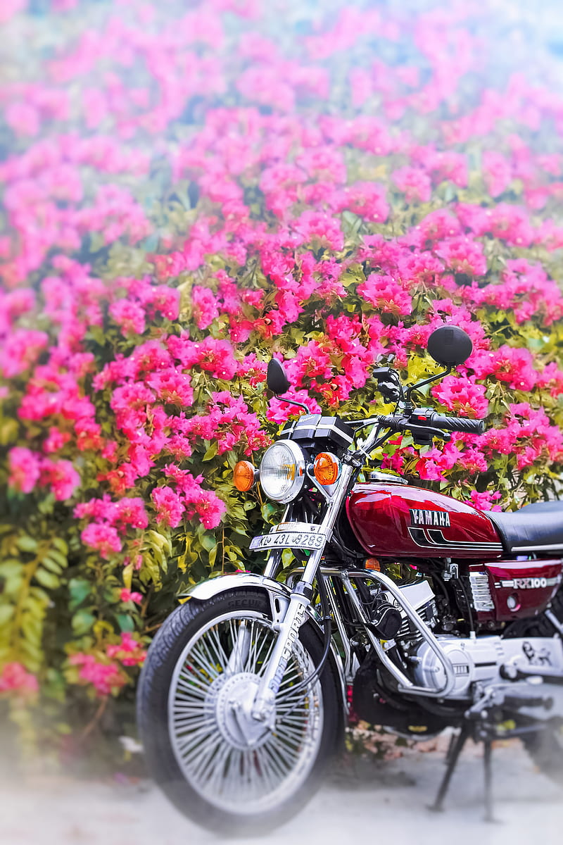 Rx 100, biker, bikes, riders, HD phone wallpaper | Peakpx