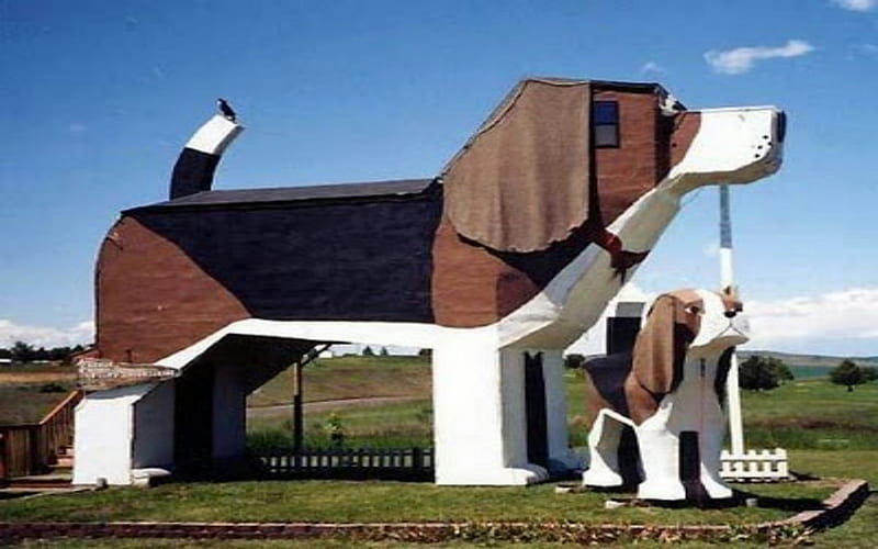 Dog House, architecture, funny graphy, house, graphy, unusual homes, cute  homes, HD wallpaper | Peakpx