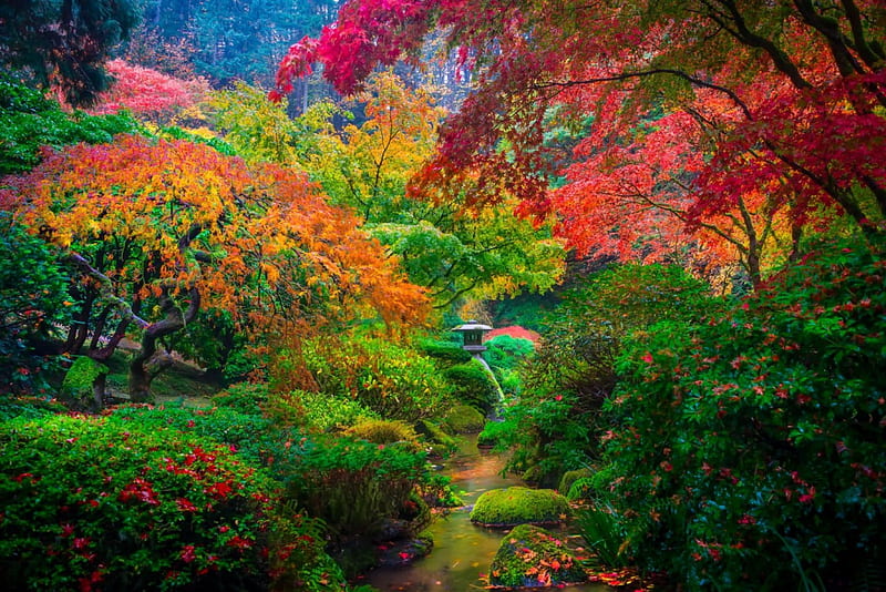Rainbow Touch At Portland Gardens, autumn, leaves, Japanese garden, flowers, bonito, creek, trees, shrubs, HD wallpaper