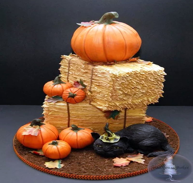 Pumpkin And Cat Cake, Black, Cat, Pumpkins, Cake, Hay, Autumn, HD wallpaper