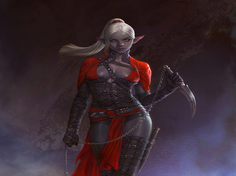 Dark Elf Warrior, chain, fantasy, female, dark elf, dagger, HD wallpaper