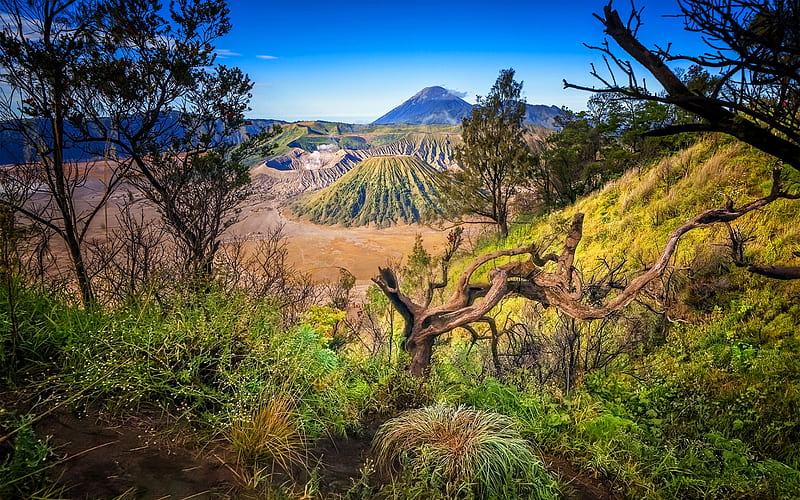 Mount Bromo, R, volcano, beautiful nature, Indonesia, Asia, HD wallpaper