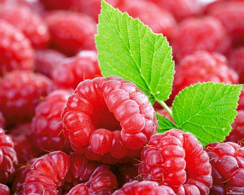 MACRO OF BERRIES, sweets, food rasberries, fruit, close up, berries, macro, nature, natural, HD wallpaper