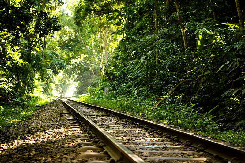 Where it ends ?, forest, nature, trees, rail line, HD wallpaper