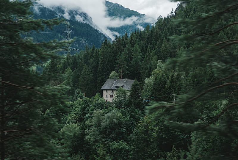 house, forest, mountains, trees, nature, HD wallpaper
