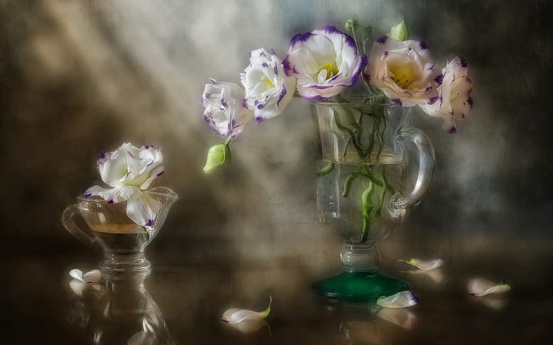 Beautiful Flowers, Flowers, Light, Glass, Bouquet, HD wallpaper | Peakpx