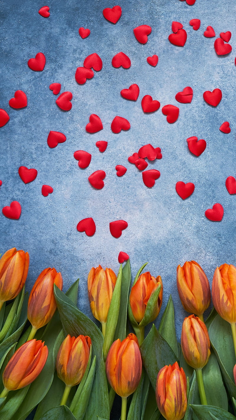 Love, blue, flowers, green leaves, corazones, orange tulips, red hearts, tulips, HD phone wallpaper