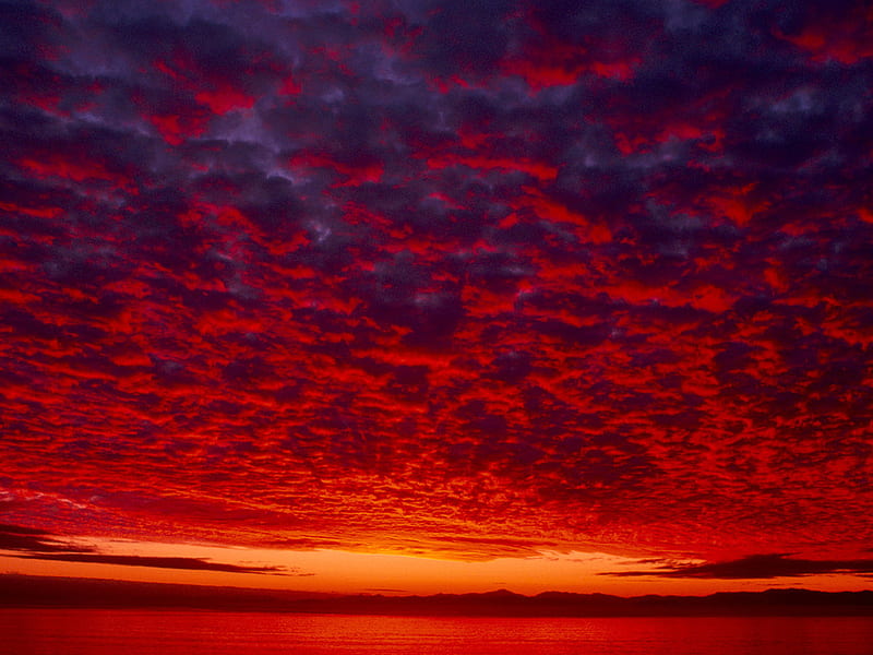Red sky, red, horizon, cloud, nature, sky, HD wallpaper