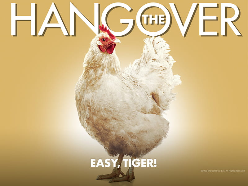 The Hangover Chicken, farm, the hangover, chicken, movie, HD wallpaper