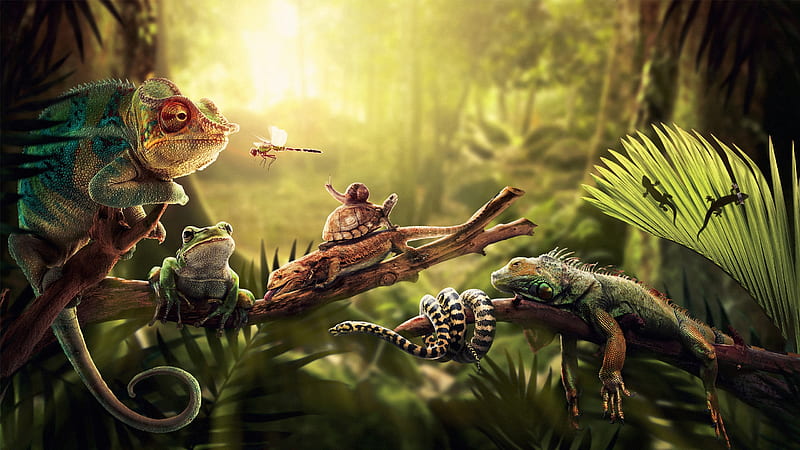 Jungle, frog, lizard, green, iguana, animal, snake, mosquito, HD wallpaper