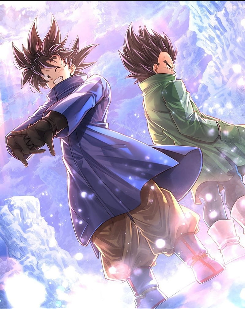 Goku And Vegeta, anime, friend, friends, funny, gokusmile, smile, snow, HD  phone wallpaper | Peakpx