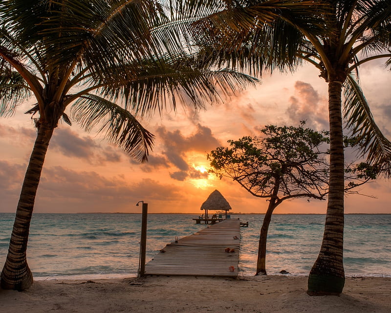 Coco Plum Island, ocean, pier, nature, palm, sunset, island, trees, clouds, HD wallpaper