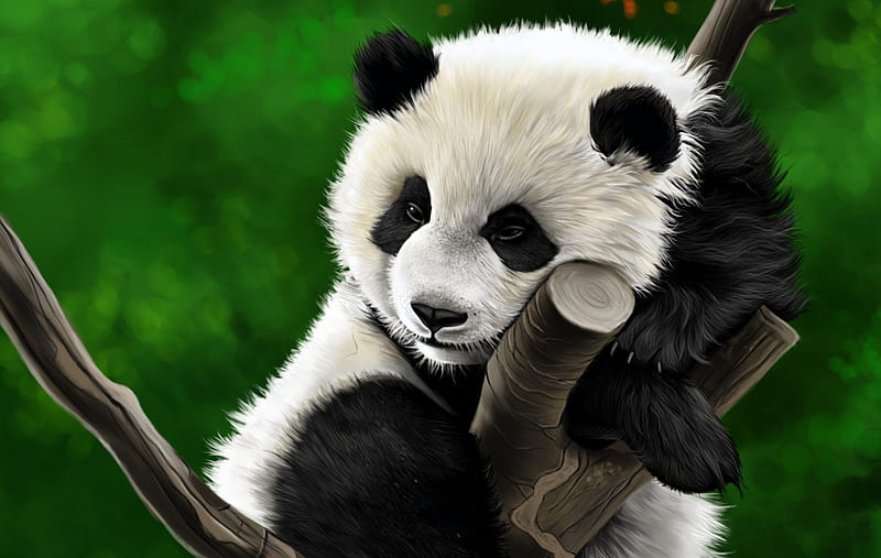 Animal, panda, dibujo, Fondo de pantalla HD | Peakpx