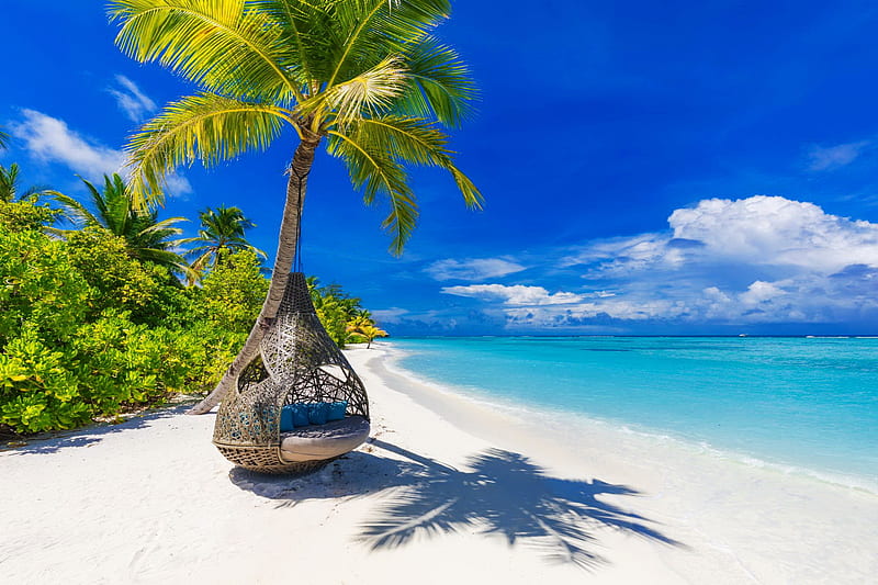 Summer of the Maldives, rest, vacation, exotic, ocean, Maldives, breeze,  bonito, HD wallpaper | Peakpx