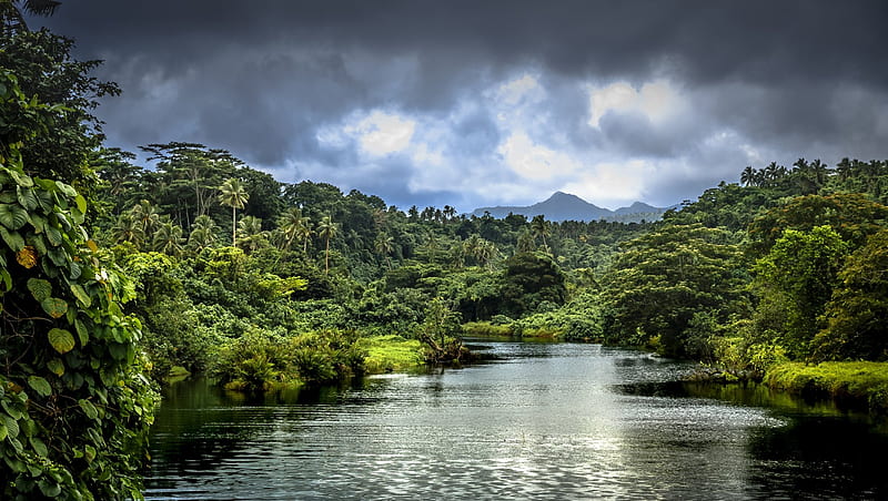 Lush Jungle River, Trees, Sky, Clouds, Jungles, Forests, Rivers, Reflections, Nature, HD wallpaper