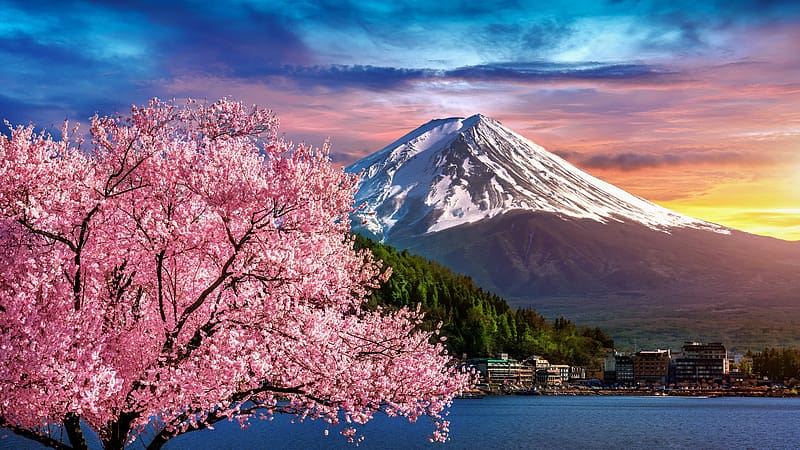 Sakura Blossoms At Mount Fuji, volcano, clouds, japan, blossoms, landscape, spring, sky, HD wallpaper