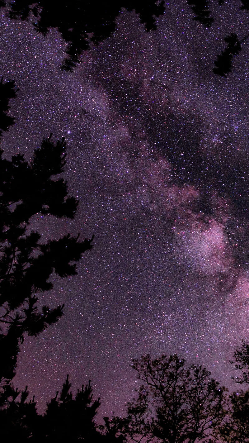 2K free download | Purple Milky Way, milky way, night, sky, tree, stars ...