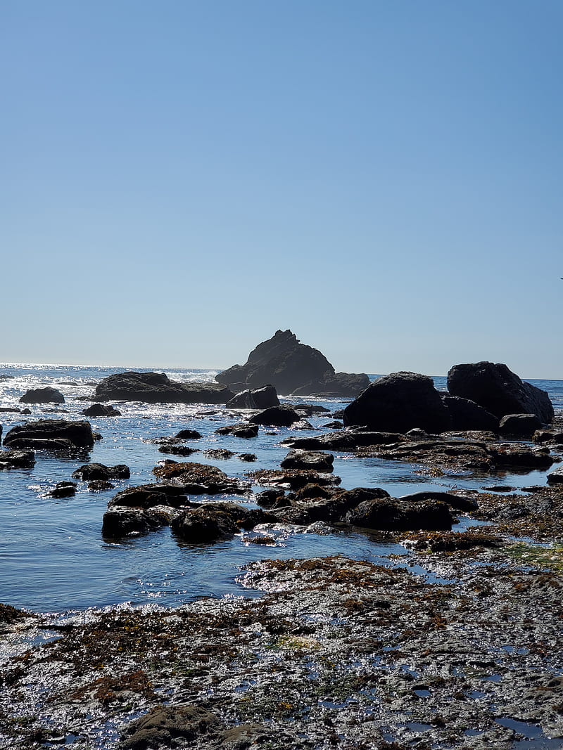 Sombrio Beach BC, amazing, beaches, british columbia, cool, landscapes ...