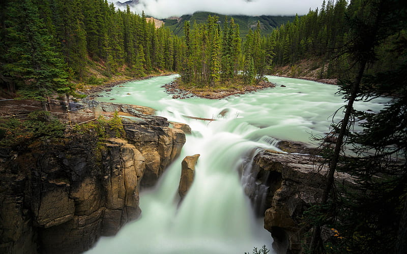 Jasper National Park, beautiful waterfall, mountain river, Sunwapta Falls, forest, fog, mountain landscape, Sunwapta River, Alberta, Canada, HD wallpaper