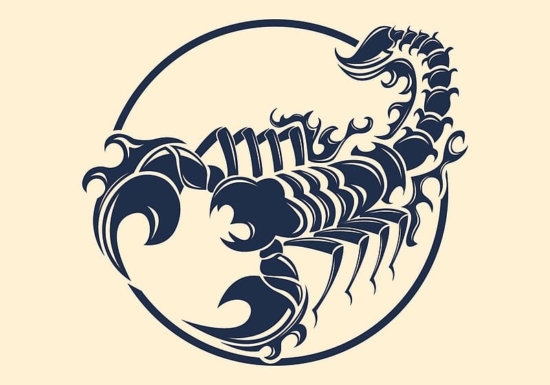 Zodiac ~ Scorpio, black, zodiac, scorpio, scorpion, art, tattoo, HD wallpaper