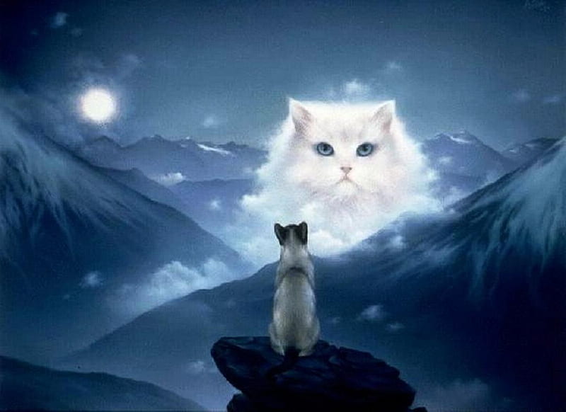 Fantasy Cat, stars, moons, higher force, dreams, cat, pets, skies, fantasy, moon, afterlife, heaven, cats, animals, blue, HD wallpaper