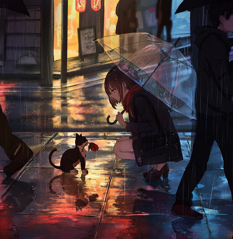 anime girls, cats, anime, umbrella, urban, city, rain, catzz, HD phone wallpaper