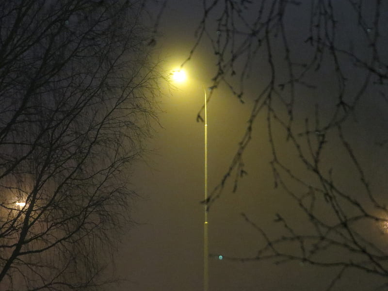 Fog, evening, streetlight, winter, HD wallpaper
