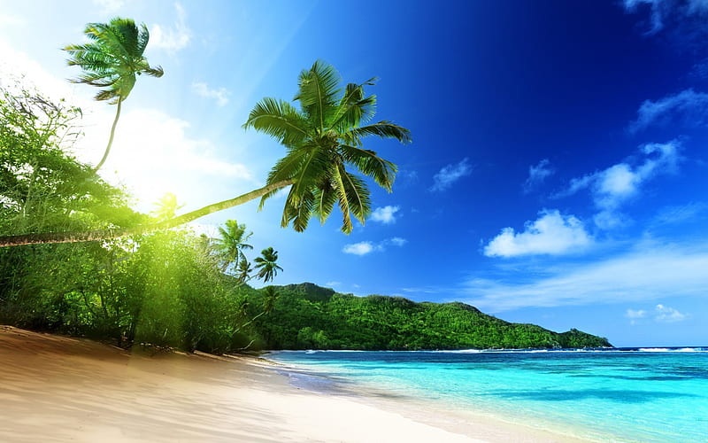 Seychelles, Mahe island, beach, palm trees, summer, tropical island, journey to Seychelles, HD wallpaper