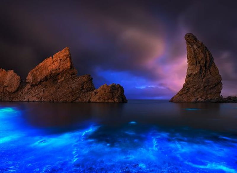 Fluorescent Sea, rock, china, coud, splendor, Blue night, landscape, coast, naturae, HD wallpaper