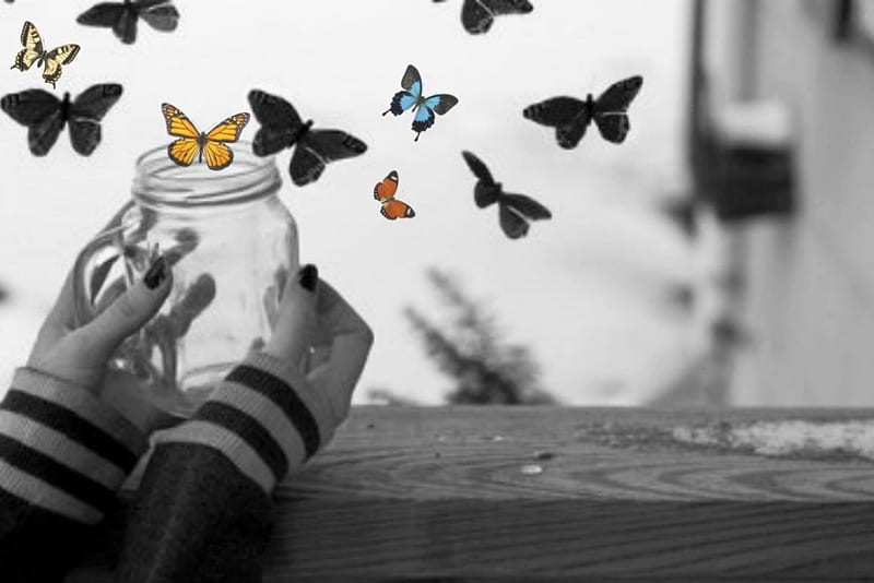 *Butterflies*, hands, shadows, butterflies, container, HD wallpaper