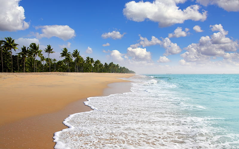 Ocean, beach, tropics, waves, summer, summer vacation, tropical islands, palm trees, HD wallpaper