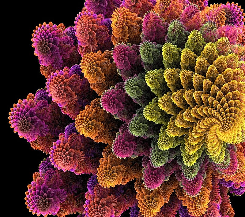 Fractal Spiral Flo, flower, HD wallpaper
