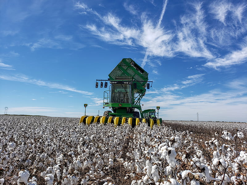 Cotton harvest , johndeere, field, farm, HD wallpaper