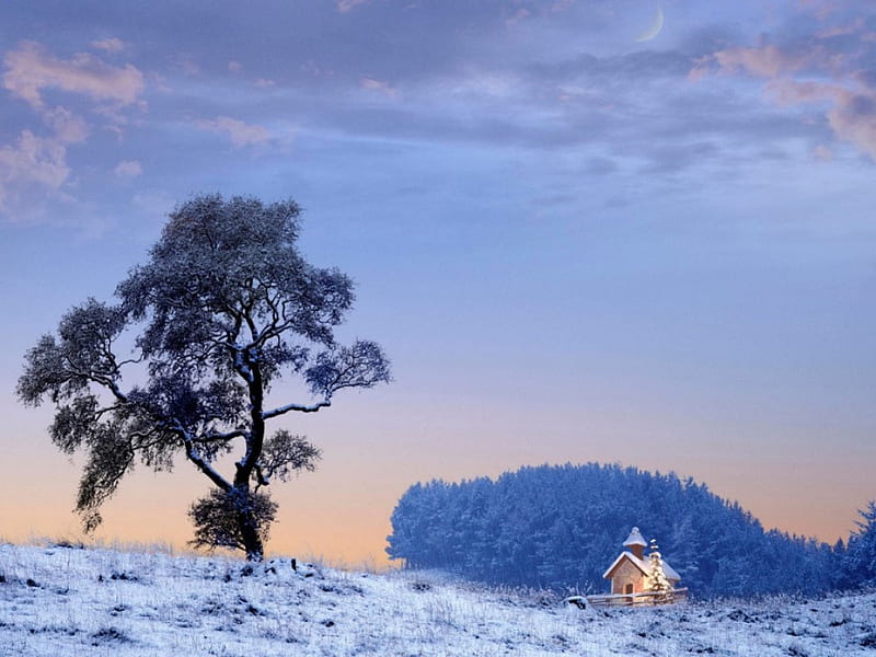 GETTING AWAY FROM IT ALL, cottages, christmas, homes, trees, winter, wilderness, snow, landscapes, forests, HD wallpaper