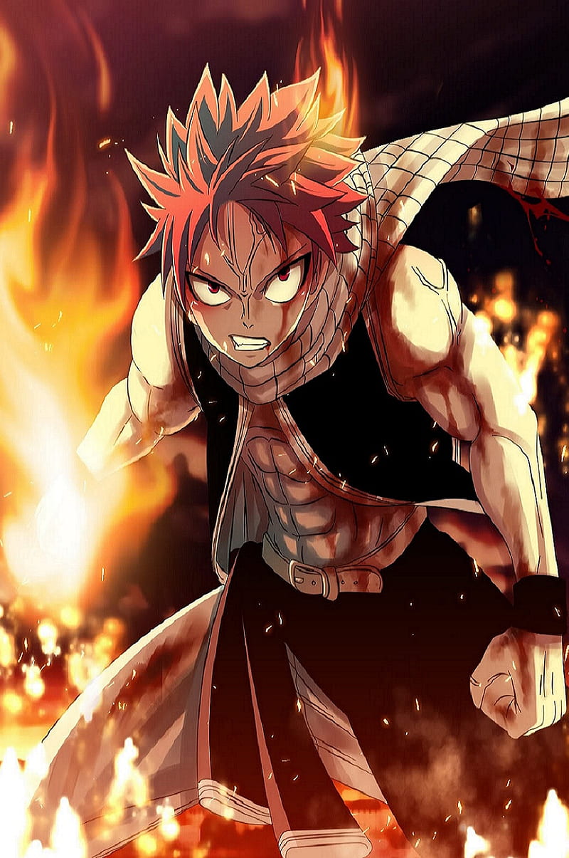 Fairy Tail  Wallpaper and Scan Gallery  Minitokyo