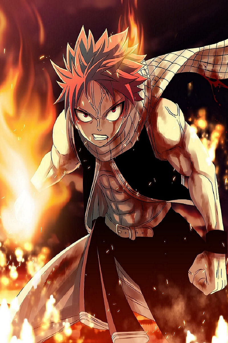 Fairy Tail, HD wallpaper