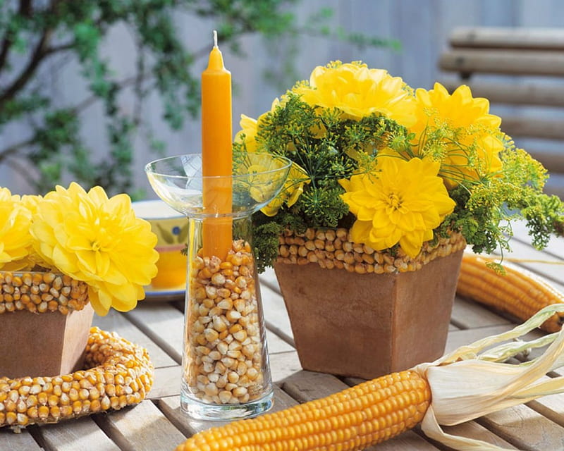 Yellow Flowers, corn, yellow, candle, flowers, HD wallpaper