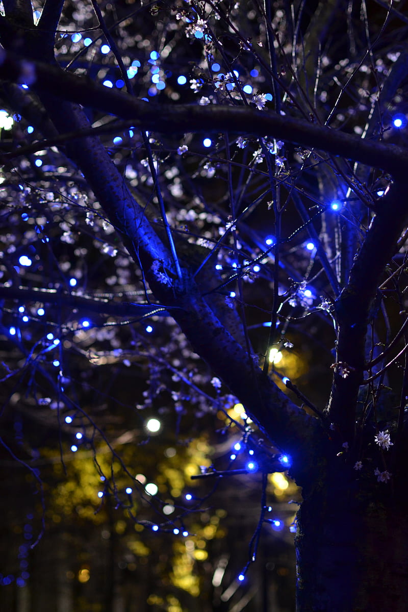 trees, garlands, flowers, lights, illumination, HD phone wallpaper