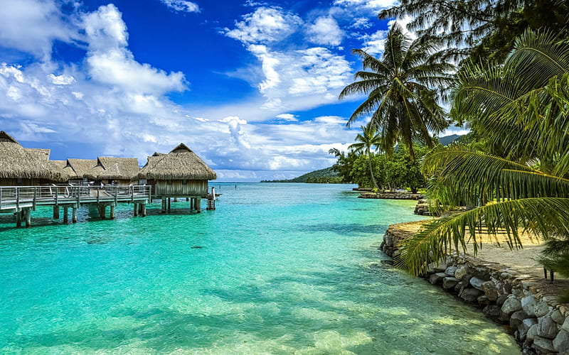 Moorea, French Polynesia, Tropical, beach, Huts, Nature, HD wallpaper ...