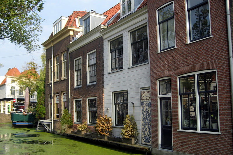 Houses in Delft, architecture, water, green, houses, HD wallpaper
