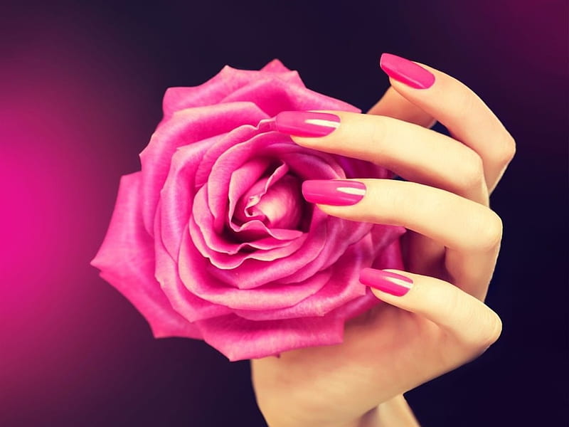 ❤️, Elegant, Hands, Rose, Manicure, HD wallpaper