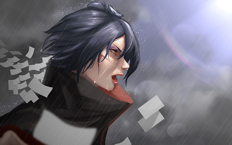 Naruto fan art Raion - Illustrations ART street