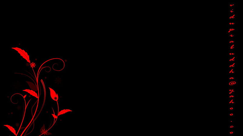 Cool Red Plant Design And Words On Side With Black Background Red  Aesthetic, HD wallpaper | Peakpx